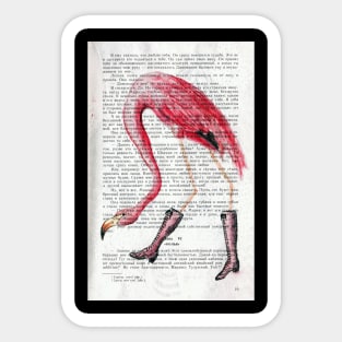 Flamingo Sticker